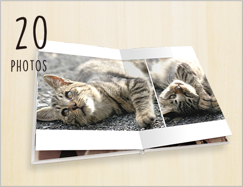 pet_20
