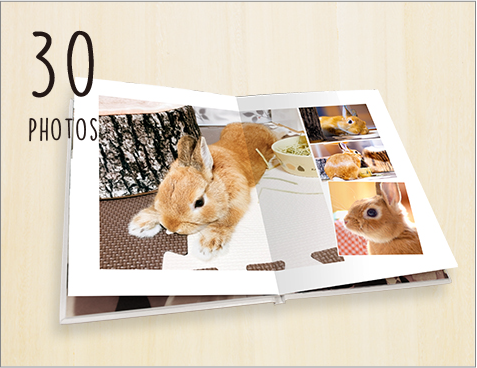 pet_30