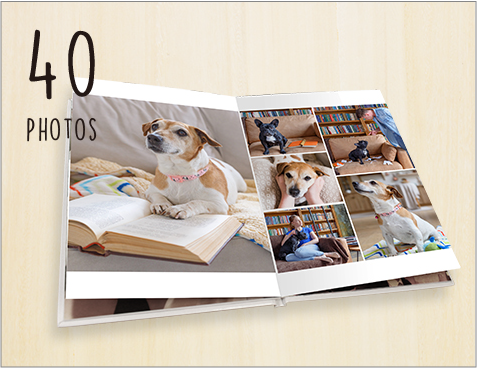 pet_40